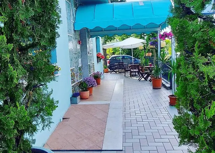 酒店 萨维娜酒店 里米尼