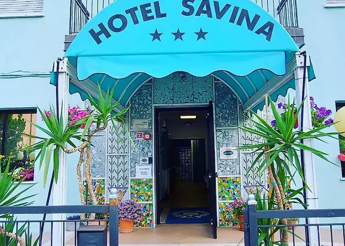 萨维娜酒店 酒店 里米尼