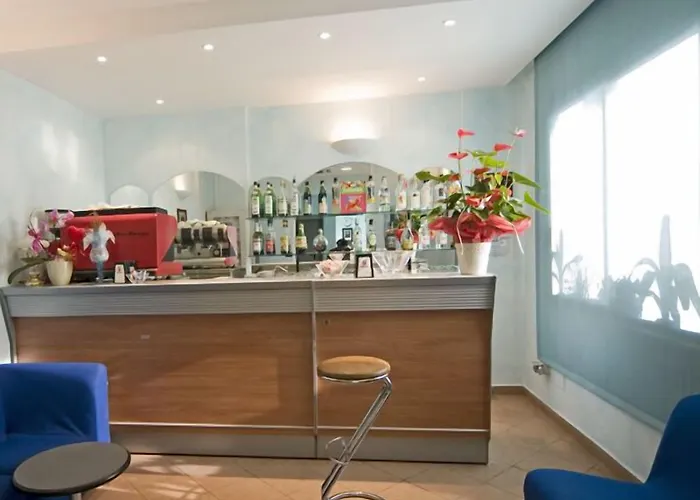 萨维娜酒店 里米尼